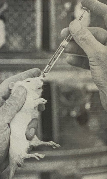 Animal Liberation [A New Ethics for Our Treatment of Animals]