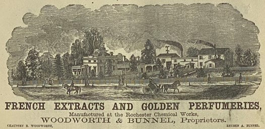 Rochester Daily Union City Directory, for 1861. Containing an Alphabetical List of the Heads of Families, Business Men and Mechanics, Their Several Places of Business and Residences, and of Females Acting in the Capacity of Artisans and Domestics, Census…