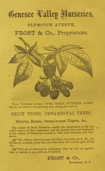 Rochester Daily Union City Directory, for 1861. Containing an Alphabetical List of the Heads of Families, Business Men and Mechanics, Their Several Places of Business and Residences, and of Females Acting in the Capacity of Artisans and Domestics, Census…