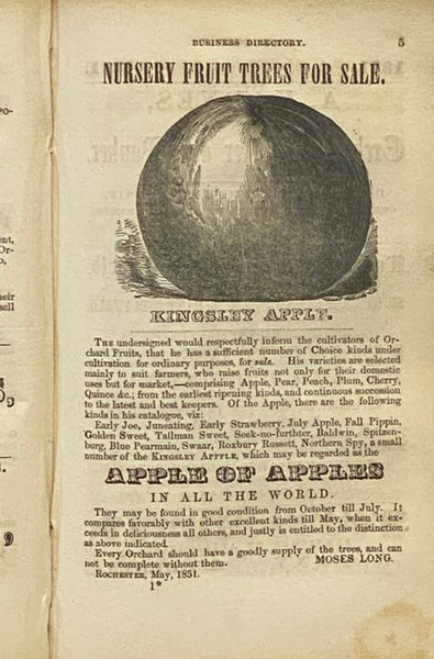 Daily American Directory of the City of Rochester, for 1851-52, Containing an Alphabetical List of the Heads of Families, Business Men and Mechanics, with Their Several Places of Business and Residences, and of Females Acting in the Capacity of Artisans …