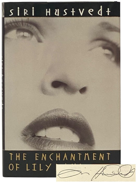 The Enchantment of Lily Dahl: A Novel