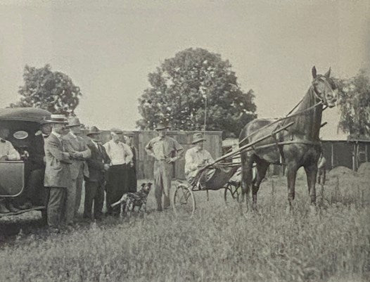 Webster (Images of America) [New York]