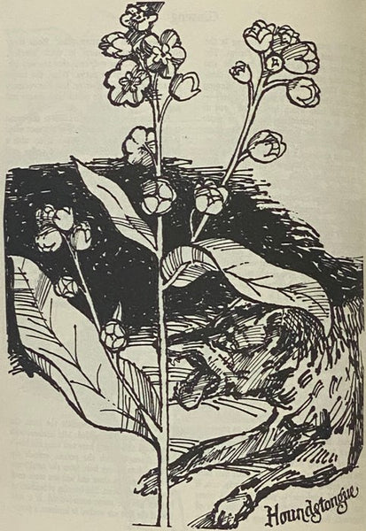 The Book of Spells