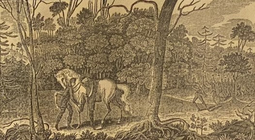 Sketches of Western Adventure: Containing an Account of the Most Interesting Incidents Connected with the Settlement of the West from 1755 to 1794: with an Appendix.