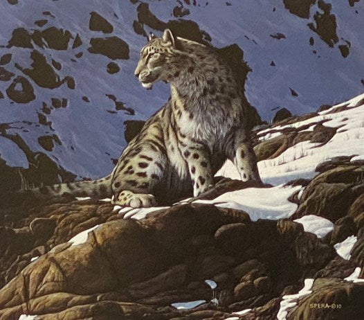 Edward Spera: An Artist's Journey