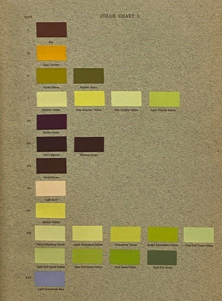 The Lilac: A Monograph