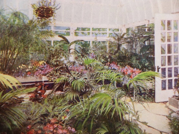 American Greenhouses [with] American Greenhouses: A Book of Conservatories, Show Houses, Palm Houses, Solariums