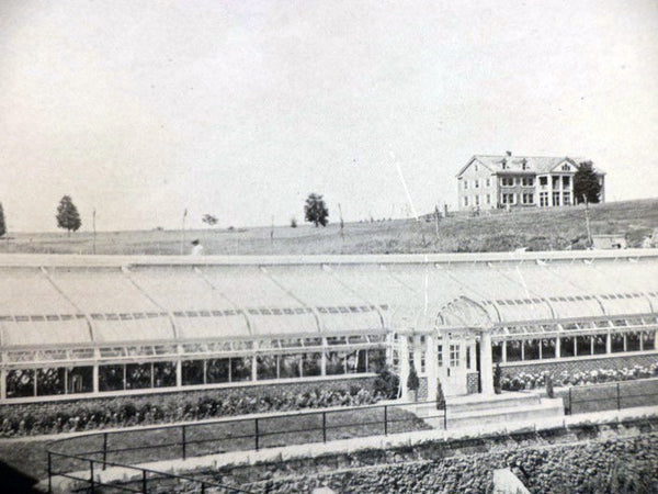 American Greenhouses [with] American Greenhouses: A Book of Conservatories, Show Houses, Palm Houses, Solariums