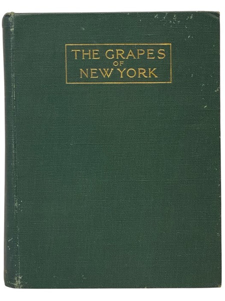 The Grapes of New York (Report of the New York Agricultural Experiment Station for the Year 1907, Volume II) (State of New York - Department of Agriculture Fifteen Annual Report, Vol. 3, Part II)