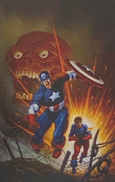 Captain America: Winter Soldier (Marvel Premier Collection)