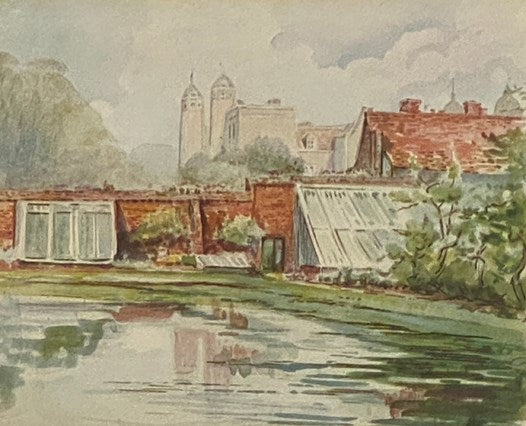 The Art of Beatrix Potter