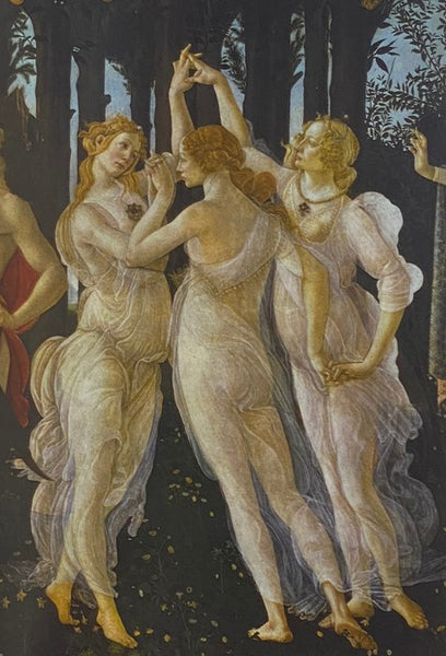The Nude: A Study in Ideal Form (The Folio Society)