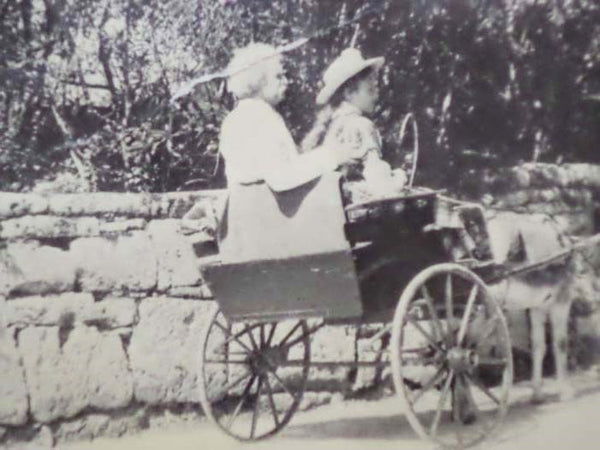 Mark Twain and The Happy Island