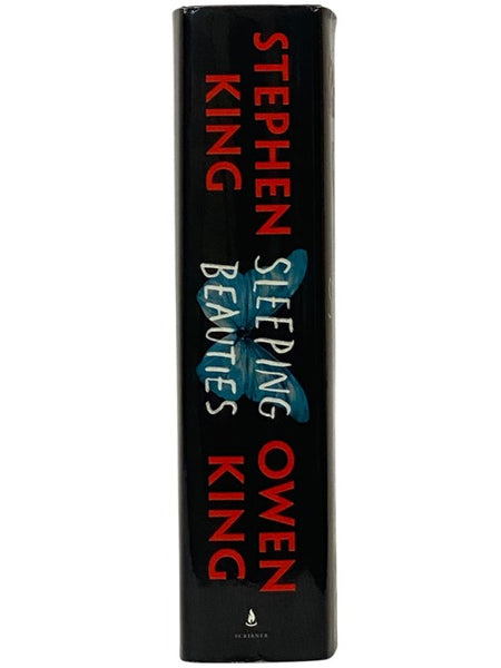 Sleeping Beauties: A Novel