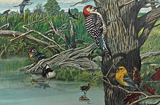 Birds of New York State