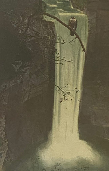 The Book of Bird Life: A Study of Birds in Their Native Haunts, with Photographs by the Author