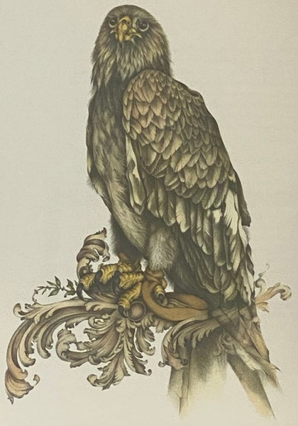 One Wing's Gift: Rescuing Alaska's Wild Birds