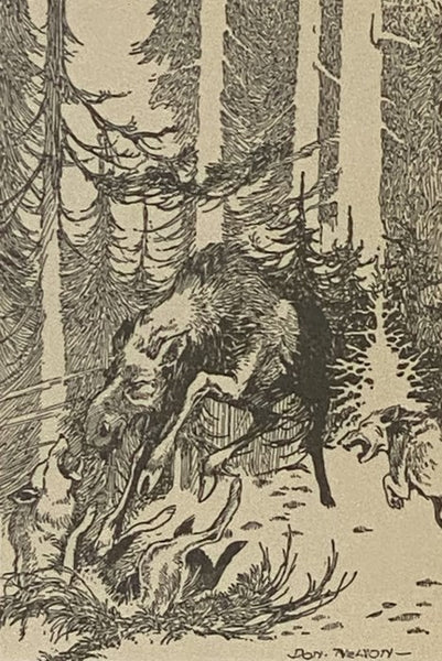 Shenshoo: The Story of a Moose
