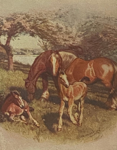 A Book of Birds and Beasts; or, The Law of Kindness