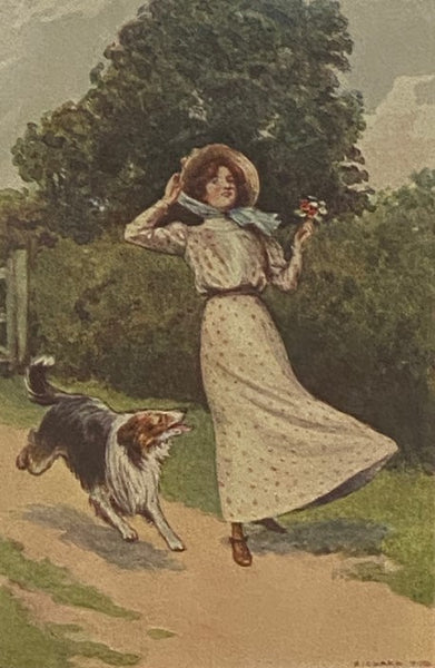 A Book of Birds and Beasts; or, The Law of Kindness