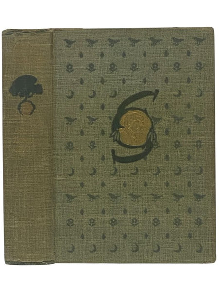 Two Little Savages: Being the Adventures of Two Boys Who Lived as Indians and What They Learned
