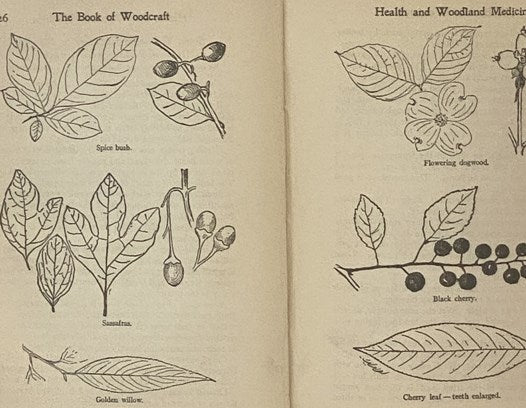 The Book of Woodcraft and Indian Lore