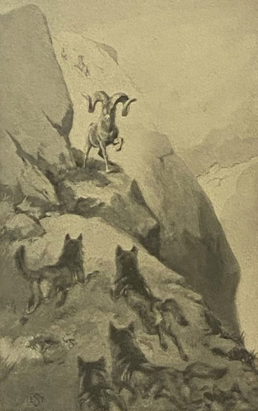 Lives of the Hunted, Containing a True Account of the Doings of Five Quadrupeds and Three Birds, and, in Elucidation of the Same, Over 200 Drawings