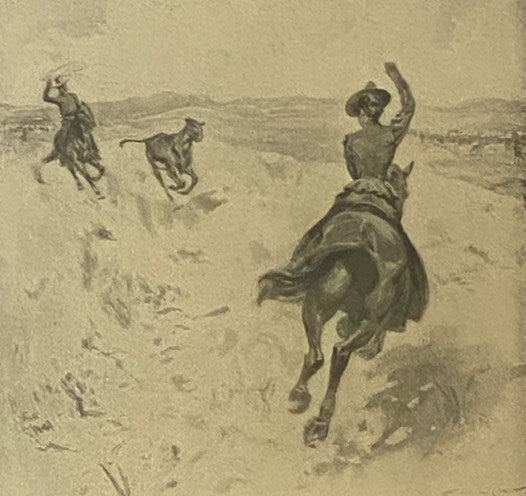 A Woman Tenderfoot