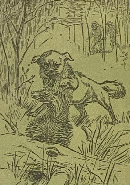 Rolf in the Woods: The Adventures of a Boy Scout with Indian Quonab and Little Dog Skookum