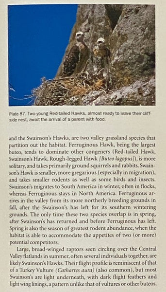 Introduction to California Birdlife (California Natural History Guides No. 83) [Bird Life]