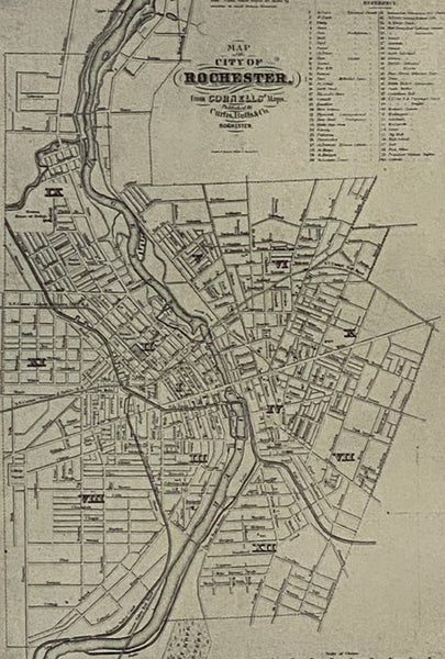 Rochester: The Flower City, 1855-1890 (Rochester Public Library, Kate Gleason Fund Publications)