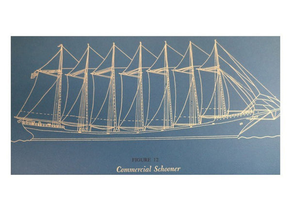 The 40-Knot Sailboat