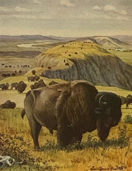 The Burgess Animal Book for Children