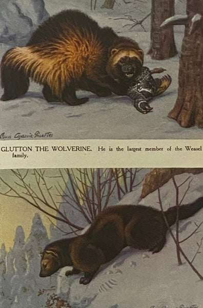 The Burgess Animal Book for Children