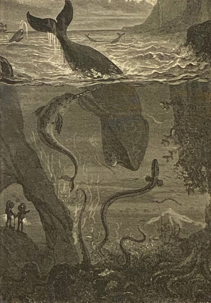 Twenty Thousand Leagues Under the Seas [Sea]; or, The Marvellous and Exciting Adventures of Pierre Aronnax, Conseil His Servant, and Ned Land, a Canadian Harpooner.