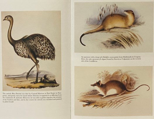 Journal of Researches into the Natural History and Geology of the Countries Visited During The Voyage of H.M.S. Beagle Round the World under Captain Fitz Roy, R.N. (The Folio Society) [FitzRoy]