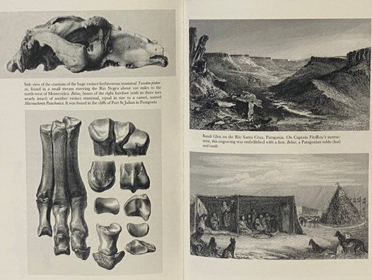 Journal of Researches into the Natural History and Geology of the Countries Visited During The Voyage of H.M.S. Beagle Round the World under Captain Fitz Roy, R.N. (The Folio Society) [FitzRoy]
