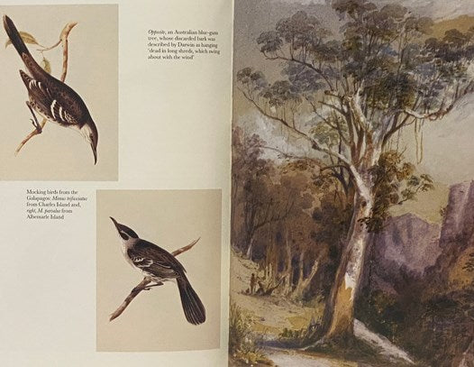 Journal of Researches into the Natural History and Geology of the Countries Visited During The Voyage of H.M.S. Beagle Round the World under Captain Fitz Roy, R.N. (The Folio Society) [FitzRoy]