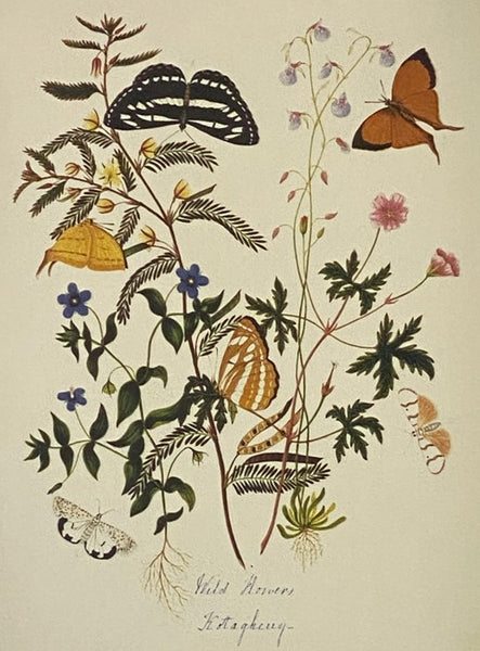 On the Origin of Species by Means of Natural Selection; or, The Preservation of Favoured Races in the Struggle for Life (The Folio Society)