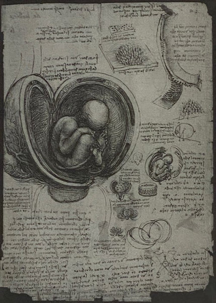 The Notebooks of Leonardo Da Vinci: Definitive Edition in One Volume