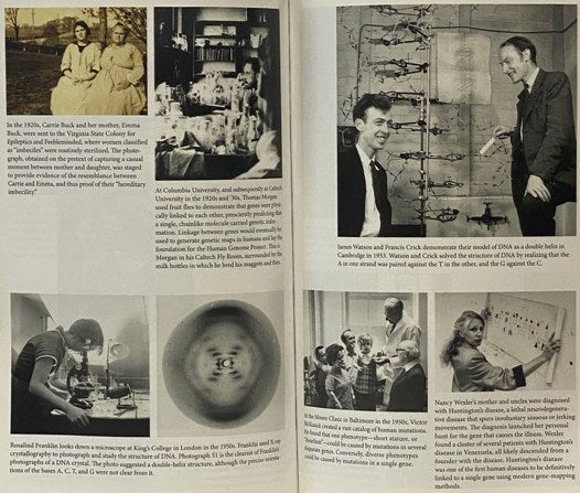 The Gene: An Intimate History