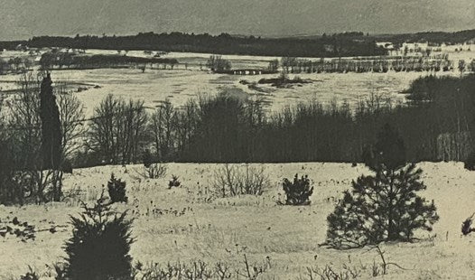 The Writings of Henry David Thoreau, with Bibliographical Introductions and Full Indexes: A Week on the Concord and Merrimack Rivers; Walden; or Life in the Woods; The Maine Woods; Cape Cod; Early Spring in Massachusetts; Summer; Autumn; Winter; Excursio…