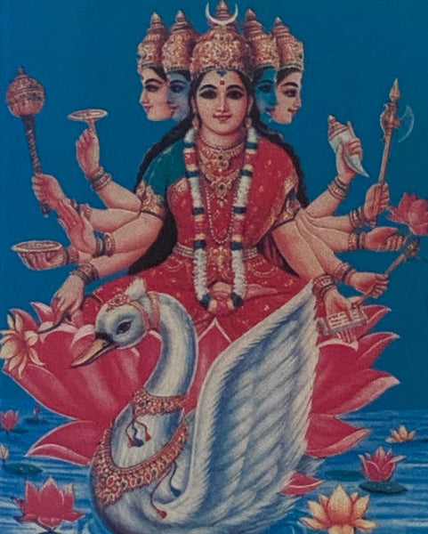 Mudras and Health Perspectives: An Indian Approach - 12 New Mudras Including Kubera and Prajna Mudras