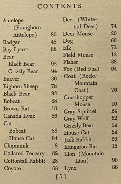 Animal Tracks