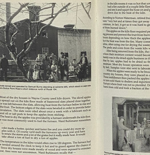 The Fruit Industry in Wayne County, New York 1823-1984