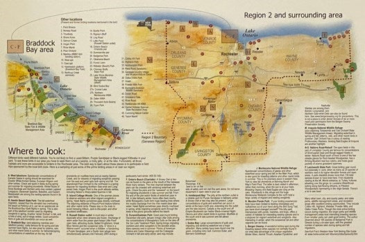 Birds of the Genesee and the Stories of Those Who Watch Them