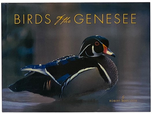 Birds of the Genesee and the Stories of Those Who Watch Them