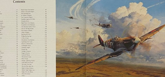 Dogfight! Aviation Art of World War II [Flying Aces]