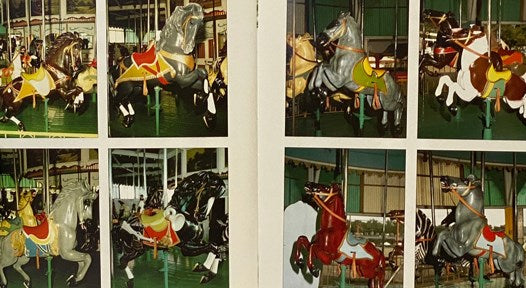 Roseland: Playground of the Finger Lakes, 1925-1985
