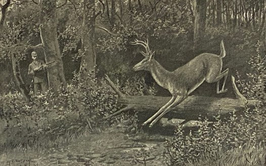 Outing: An Illustrated Monthly Magazine of Sport, Travel and Recreation, Vol. XVIII, XIX, XX. [Volumes 18-20], [September], 1891 - September, 1892.